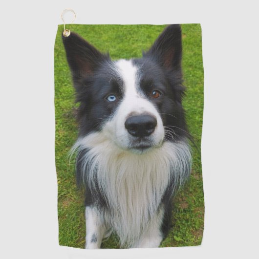 Border Collie Golfhanddoek (Voorkant)