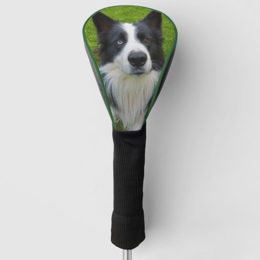 Border Collie Golfheadcover (Voorkant)