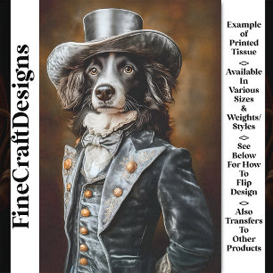 Border Collie Grijs Victoriaans Outfit CF5 Decoupa Tissuepapier
