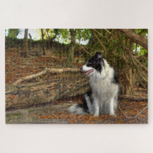 Border Collie Groot Legpuzzel