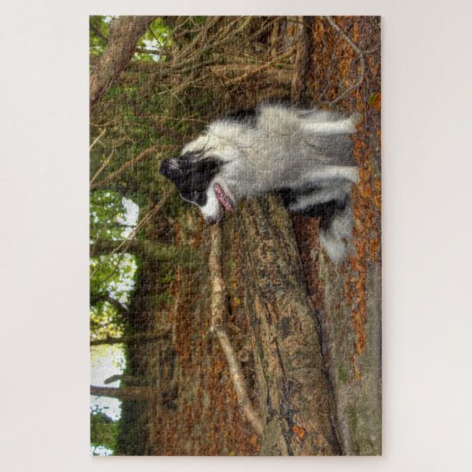 Border Collie Groot Legpuzzel (Verticaal)