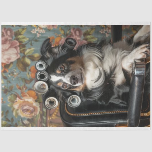 Border Collie Hair Cut Stijl Verwenste Decoupage Tissuepapier (Voorkant)