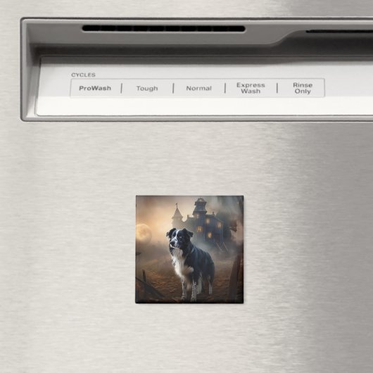 Border Collie Halloween eng Magneet (Insitu (Vaatwasser))