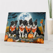 Border Collie Halloween Spooky Kaart (Voorkant)