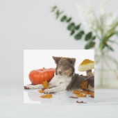 Border Collie haloween Briefkaart (Staand voorkant)