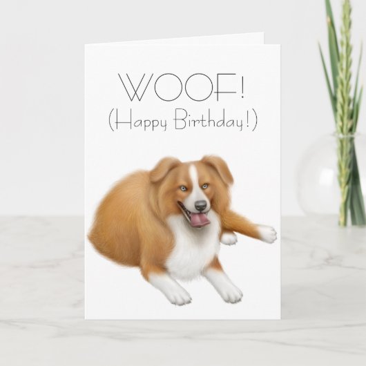 Border Collie Happy Birthday Card Kaart (Voorkant)