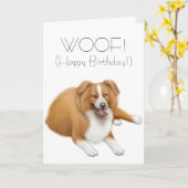 Border Collie Happy Birthday Card Kaart (Gele Bloem)