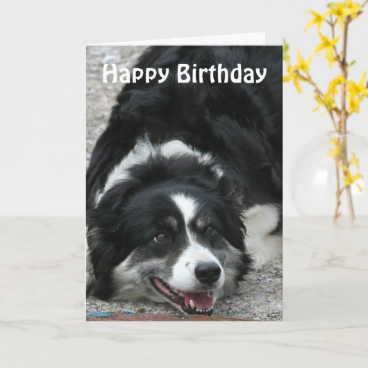 Border Collie - Happy Birthday Kaart (Gele Bloem)