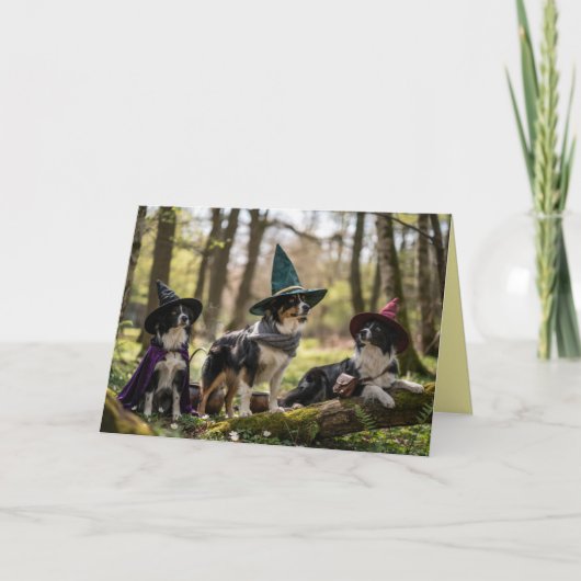 Border Collie Heks Halloween Kaart (Voorkant)