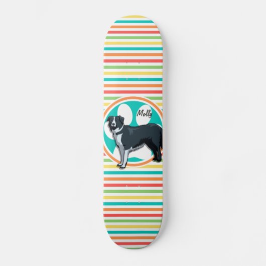 Border Collie; heldere regenboogstrepen Persoonlijk Skateboard (Voorkant)