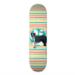 Border Collie; heldere regenboogstrepen Persoonlijk Skateboard