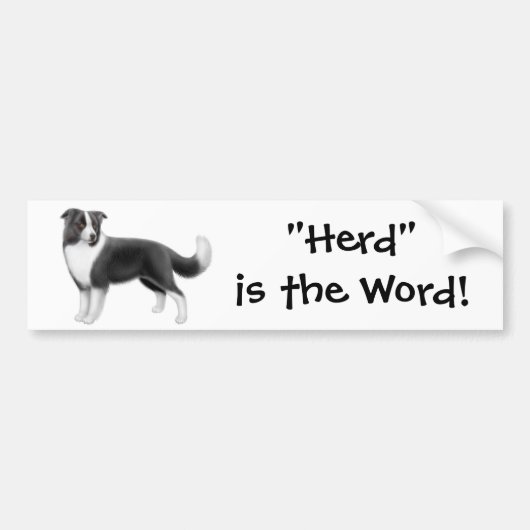 Border Collie Herding Bumpersticker (Voorkant)
