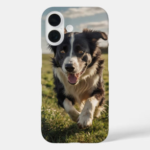Border Collie Herding iPhone 16 Hoesje