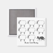 Border Collie Herding Schaap Magnet (Voorkant / Achterkant)