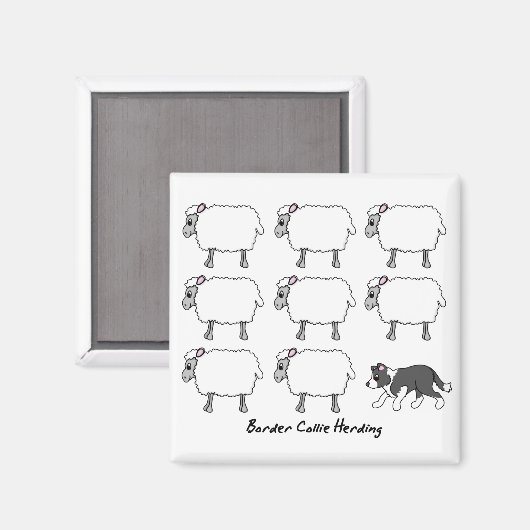 Border Collie Herding Schaap Magnet (Voorkant / Achterkant)