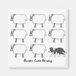 Border Collie Herding Sheep Magnet