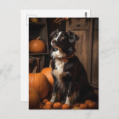 Border Collie herfstpompoenen Briefkaart (Voorkant / Achterkant)