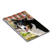 Border Collie Hijgt 1 Notitieboek (Rechterzijde)