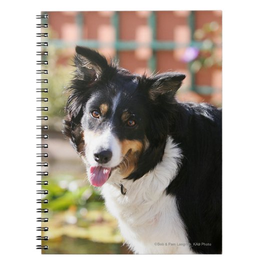 Border Collie Hijgt 1 Notitieboek (Voorkant)
