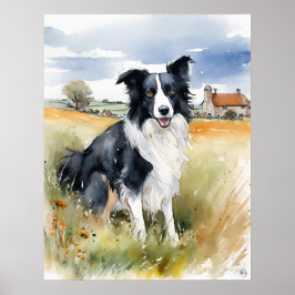 Border Collie - Hond Art Print