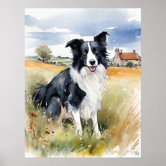 Border Collie - Hond Art Print (Voorkant)