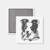 Border Collie Hond - Aussie Liefhebber Magneet (Voorkant / Achterkant)