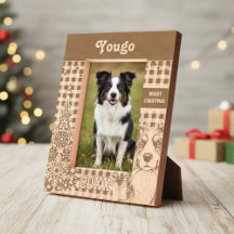 Border Collie-hond - Border Rendier