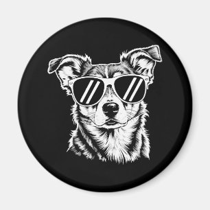Border Collie Hond Dragen Zonnebril Huisdier Magneet