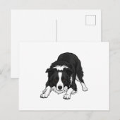Border Collie Hond Feestdagenkaart (Voorkant / Achterkant)