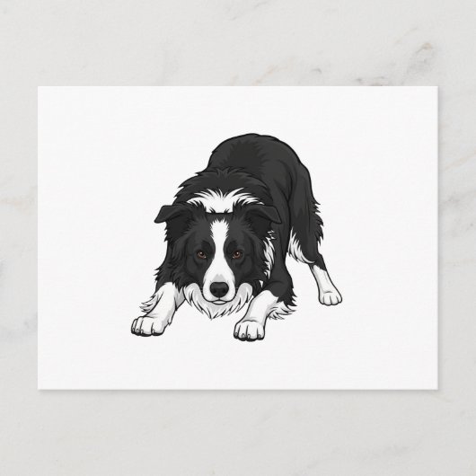 Border Collie Hond Feestdagenkaart (Voorkant)