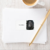 border collie hond gezicht etiket (Insitu)