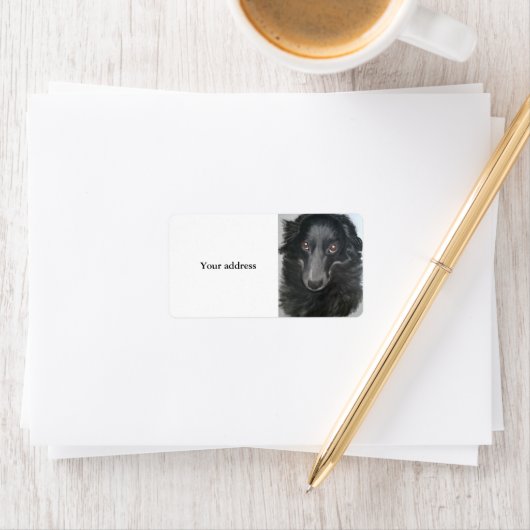 border collie hond gezicht etiket (Insitu)