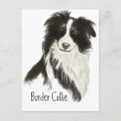 Border Collie Hond Huisdier Dier Briefkaart (Voorkant)