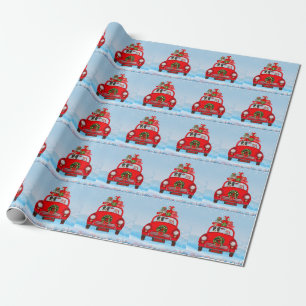 Border Collie-hond in auto met kerstman   Cadeaupapier