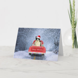 Border Collie-hond in de sneeuw zittend op Kerstmi Kaart