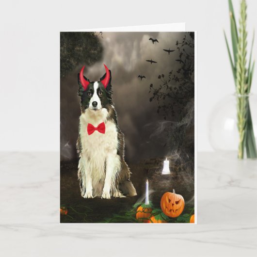 Border Collie-hond in Halloween-kostuum  Kaart (Voorkant)