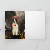 Border Collie-hond in Halloween-kostuum  Kaart (Binnen)