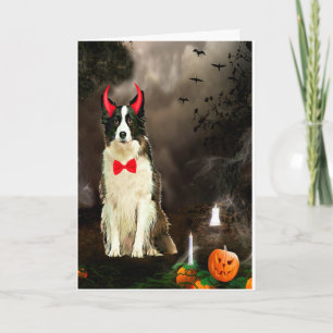 Border Collie Hond in Halloween Kostuum Kaart