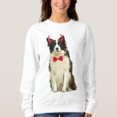 Border Collie Hond in Halloween Trui (Voorkant)