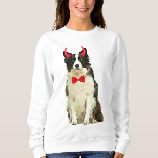 Border Collie Hond in Halloween Trui (Voorkant)