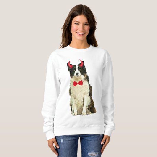 Border Collie Hond in Halloween Trui (Voorkant volledig)