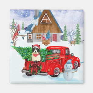Border Collie hond in Kerstbezorgingswagen Sneeuw Magneet