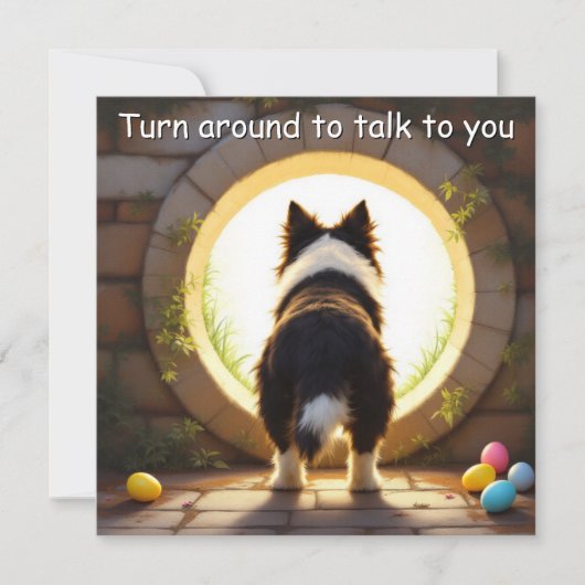 Border Collie hond - Pasen Feestdagenkaart (Voorkant)