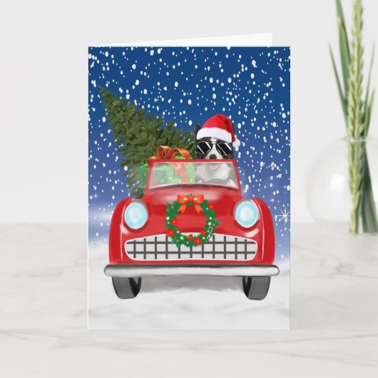 Border Collie Hond Rijdt Auto In Sneeuw Kerstmis Programma (Voorkant)