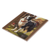 Border Collie Hond Tegeltje (Zijkant)