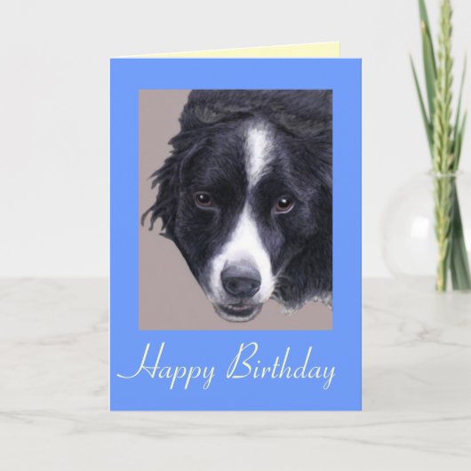 border collie hond verjaardagskaart kaart (Voorkant)