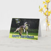 Border collie hond verjaardagskaart kaart (Gele Bloem)