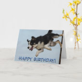 Border collie hond verjaardagskaart kaart (Gele Bloem)