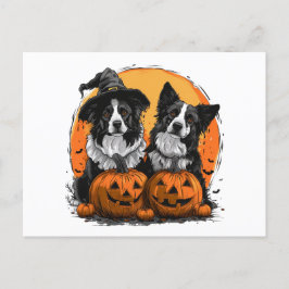 Border Collie Honden Halloween Jack O Lanterns Briefkaart