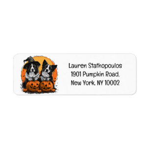 Border Collie Honden Halloween Jack O Lanterns Etiket